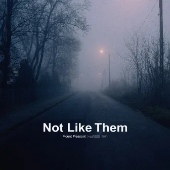 Not Like Them by Mount Pleasant