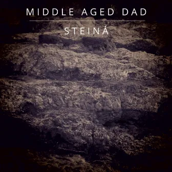 Steiná by Middle Aged Dad