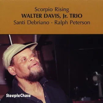 Scorpio Rising by Walter Davis