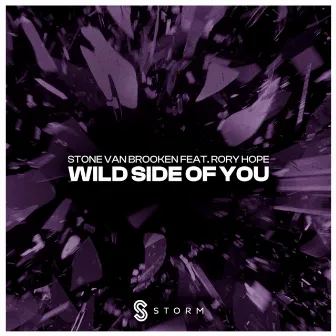 Wild Side Of You by Stone Van Brooken