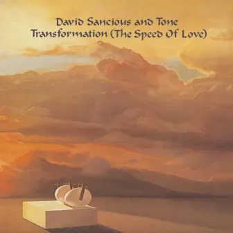 Transformation (The Speed of Love) by David Sancious