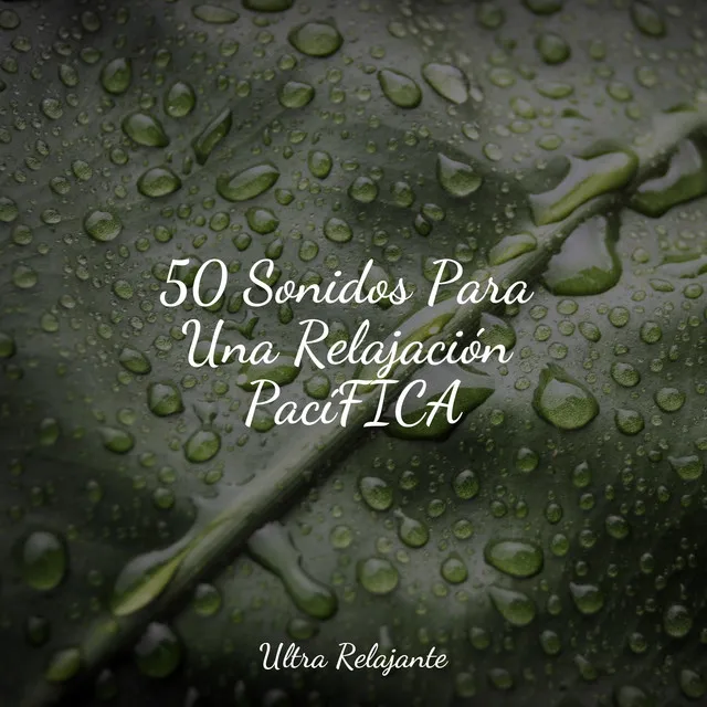 50 Sonidos Para Una Relajación PacíFICA