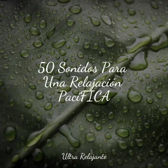 50 Sonidos Para Una Relajación PacíFICA by Sonidos de la Naturaleza