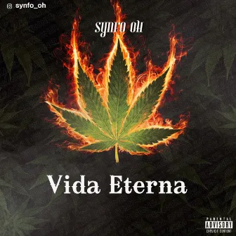 Vida Eterna by SYNFO OH