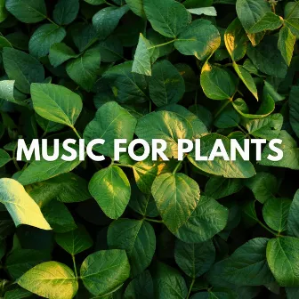 Music for Plants by NatureMusic