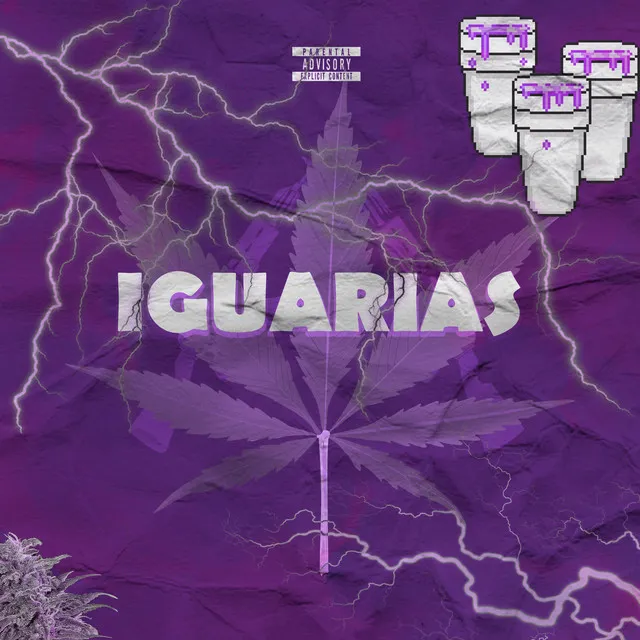 Iguarias