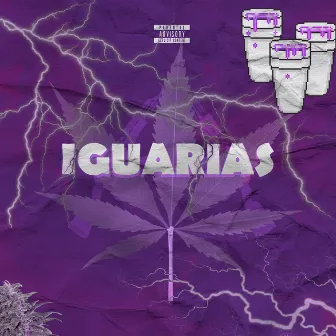 Iguarias by WYZZZ