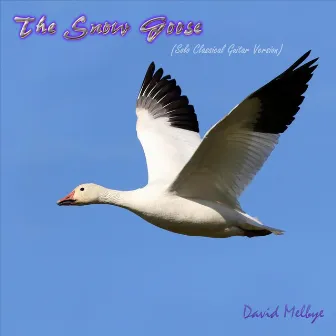 The Snow Goose (Solo Classical Guitar Version) by David Melbye