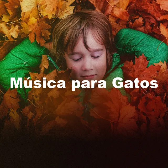 Música para Gatos