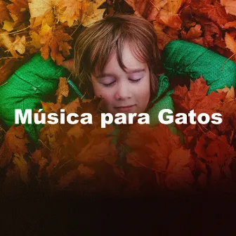 Música para Gatos by Música Relajante para Gatos