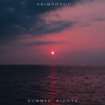 Summer Nights by Animadrop