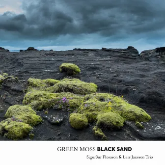 Green Moss Black Sand by Sigurdur Flosason