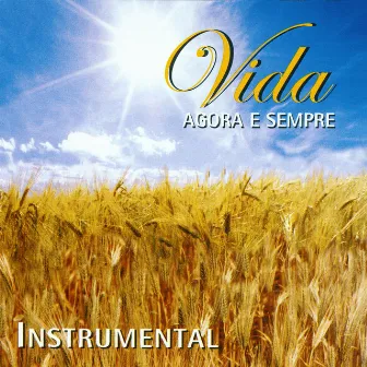 Vida Agora e Sempre (Instrumental) by Frei Luiz Turra