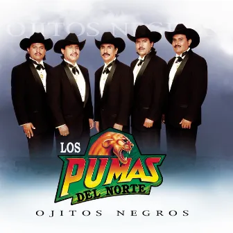 Ojitos Negros by Los Pumas Del Norte