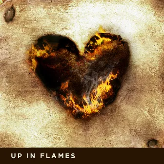 Up in Flames by Red Means Run