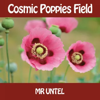 Cosmic Poppies Field by Mr untel