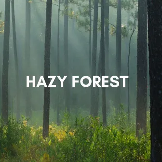 Hazy Forest by Jox Talay