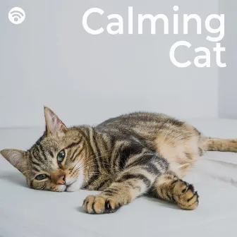 Calming Cat by Cat Sleeping Music Project