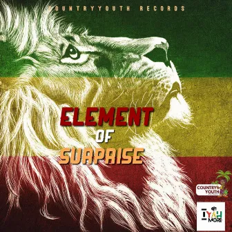 Element of Surprise by CountryYouth Records