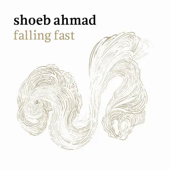 Falling Fast by Shoeb Ahmad