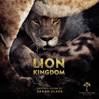 Lion Kingdom by Sarah Class