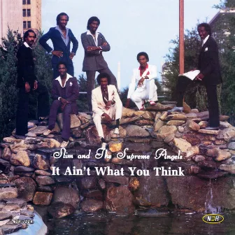 It Ain't What You Think by Slim & the Supreme Angels