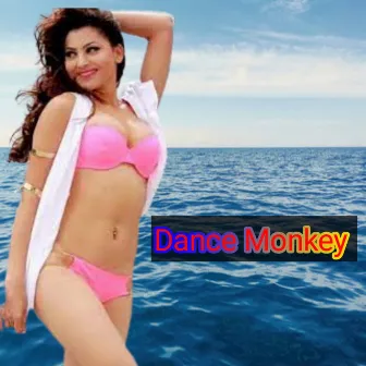 Dance Monkey by Santu Pandit