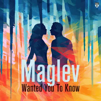 Wanted You to Know by Maglev