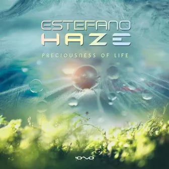 Preciousness of Life by Estefano Haze