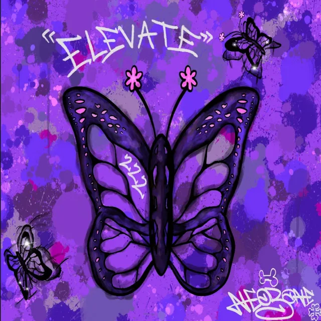 Elevate