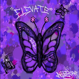 Elevate by Unknown Artist