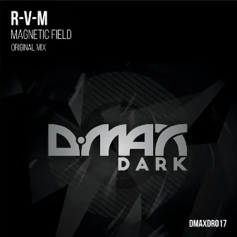 Magnetic Field by RVM