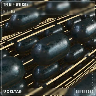 Hit That by Telm & Wilson