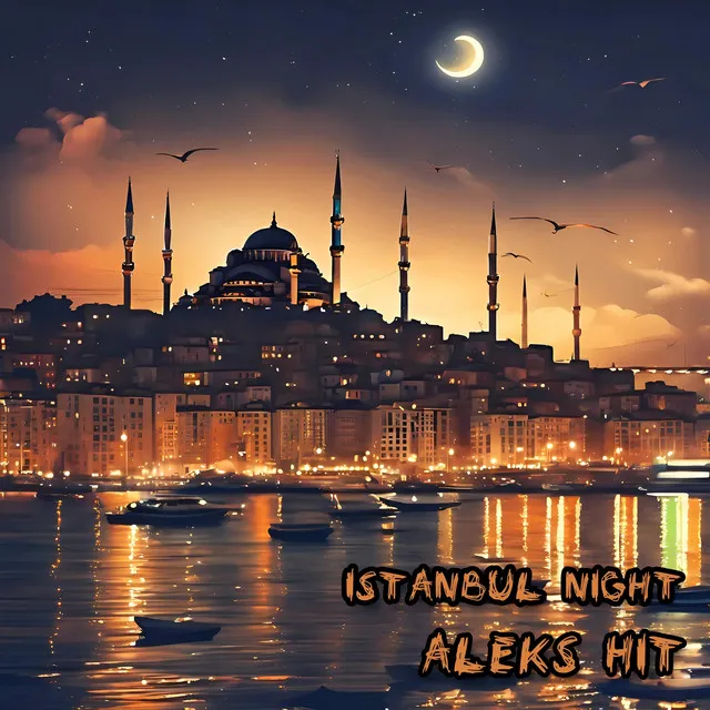 Istanbul Night