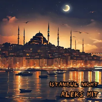 Istanbul Night by Aleks Hit