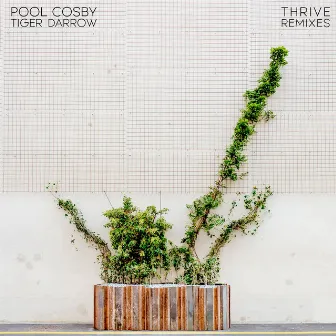 Thrive Remixes by Pool Cosby