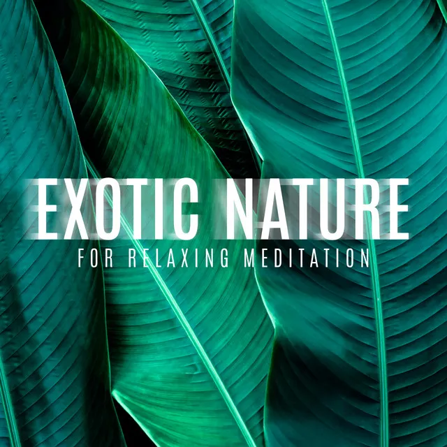 Exotic Nature for Relaxing Meditation – Close Your Eyes and Feel Freedom Your Mind