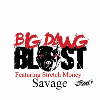 Savage by Stretch Money