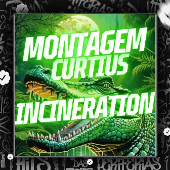 Montagem Curtius Incineration by Mc Prr Felipinho