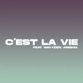 C'EST LA VIE by Kejn