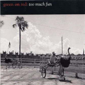 Too Much Fun by Green On Red