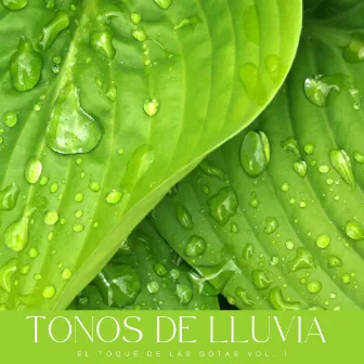 Tonos De Lluvia: El Toque De Las Gotas Vol. 1 by Ondas Alfa Puras