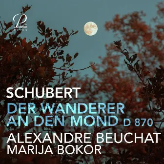 Schubert: Der Wanderer an den Mond, D 870, Op. 80 No. 1 by Marija Bokor