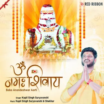 Om Namah Shivay (Baba Anandeshwar Aarti) by Unknown Artist