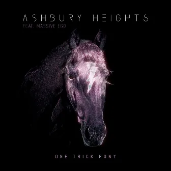 One Trick Pony by Ashbury Heights