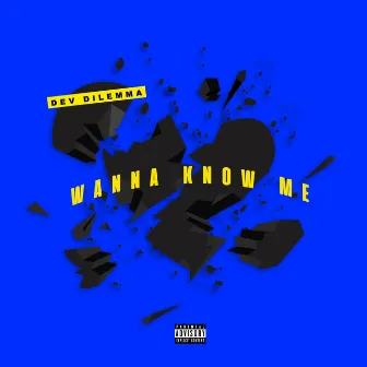 Wanna Know Me by Dev Dilemma