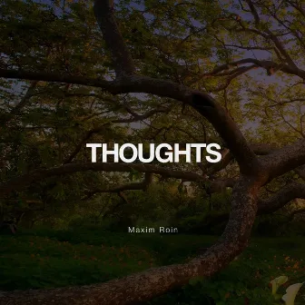 Thoughts by Maxim Roin