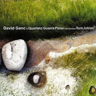 David Ganc & Quarteto Guerra Peixe Interpretam Tom Jobim by David Ganc