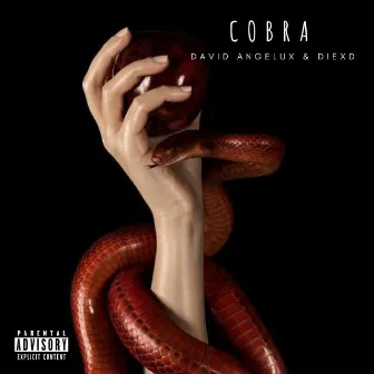 Cobra by David Angelux