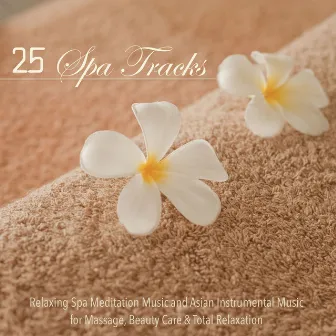 25 Spa Tracks - Relaxing Spa Meditation Music and Asian Instrumental Music for Massage, Beauty Care & Total Relaxation by Asian Zen Spa Music Relaxation